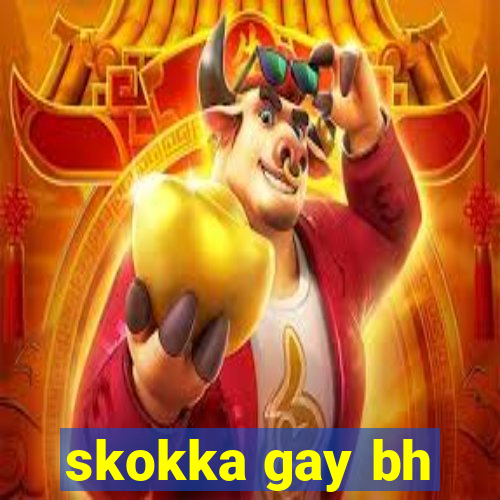 skokka gay bh